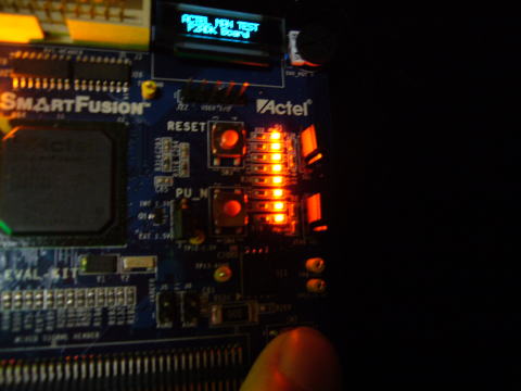 SmartFusion Manufacturing Test Switches/LEDs Test picture